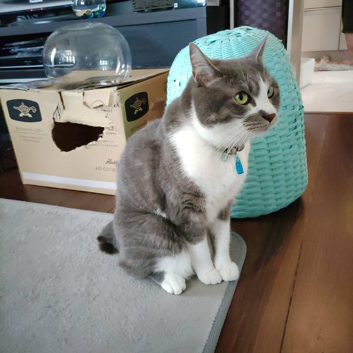 D488491e 2c03 4870 af42 0eb7754b2214 1716681368075