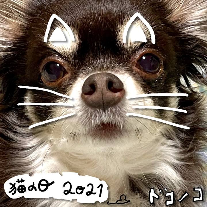 D4886e12 86ee 4b80 9fed fda6878cde3c 1613975430428