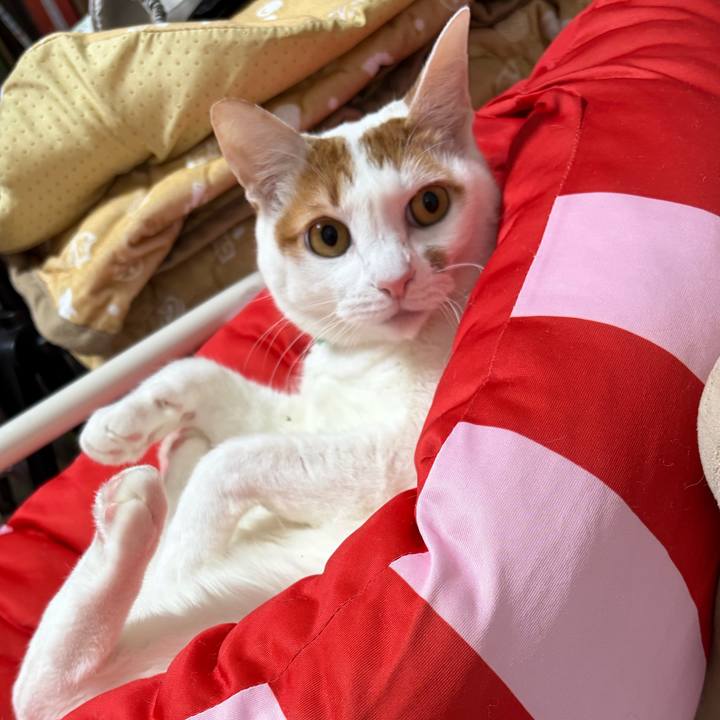 D4888463 afe3 4d9b 8228 ba465fcc7e17 1768574058582