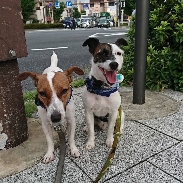 D488e27a a034 4577 a86d da51fe0f6522 1532985464200