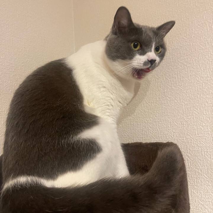 D4890276 f177 4f48 bb7f 3e5cc0a44688 1720781545922