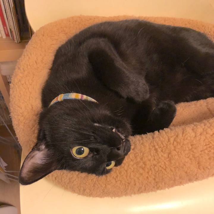 D489382b adf7 4089 b461 314e0ef2288b 1524575353483