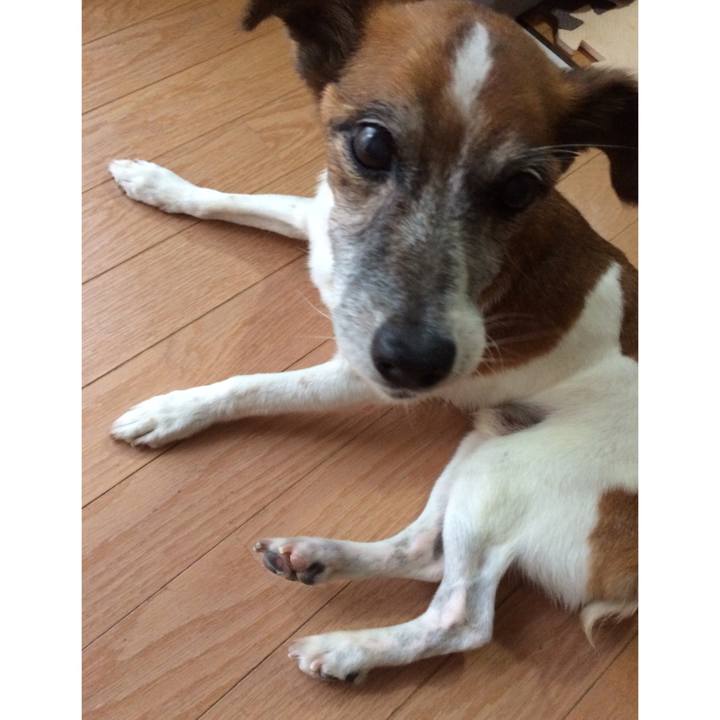 D4895807 9833 4546 99af 37e4170721f5 1535451684406