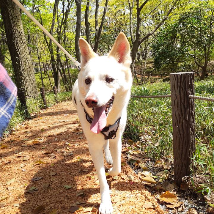 D48961a4 915a 4778 970d f52852c14f95 1680324534384