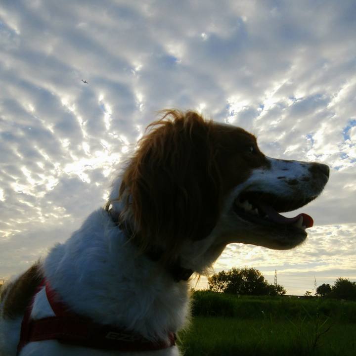 D489804a 8459 4f1a 847b ac7f87977c8b 1537702168622