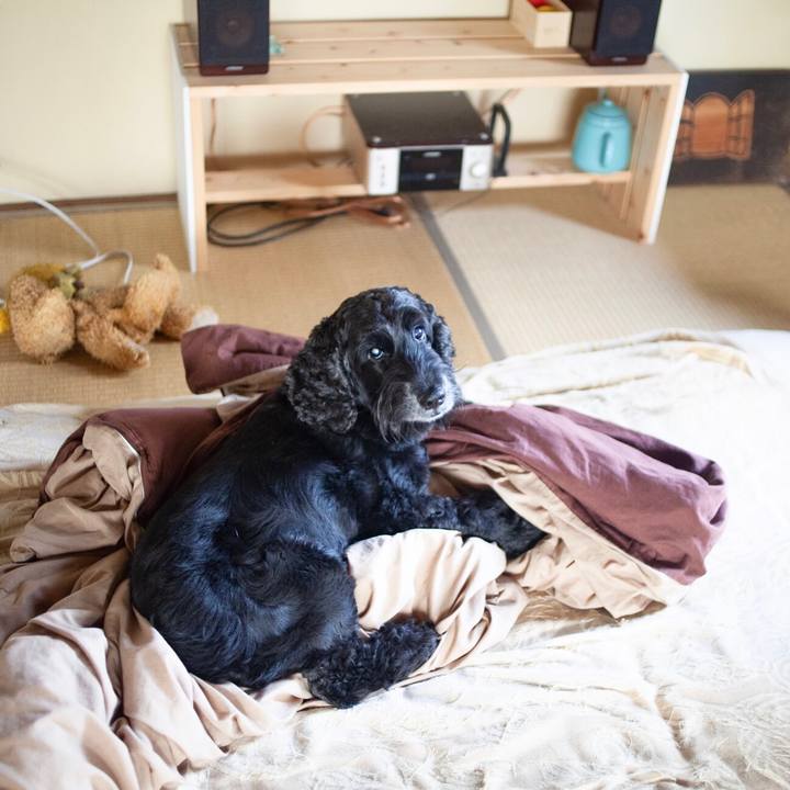 D4899e62 3fc1 435d 9007 a756d22de695 1594472405293