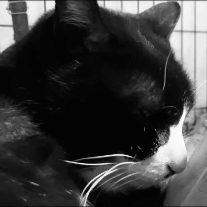 D489c011 453d 4d71 862c 15af929164e8 1739870819037