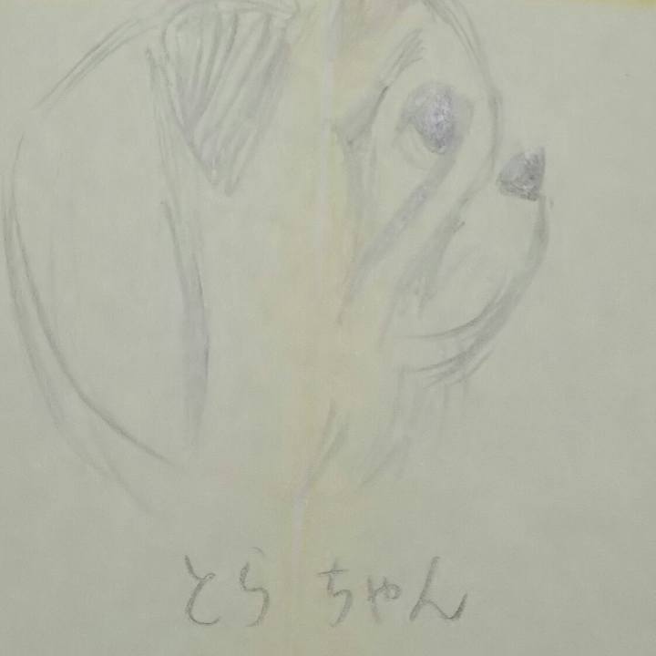 D489d1dd 5088 4742 be85 ccebbae9661a 1521174486326