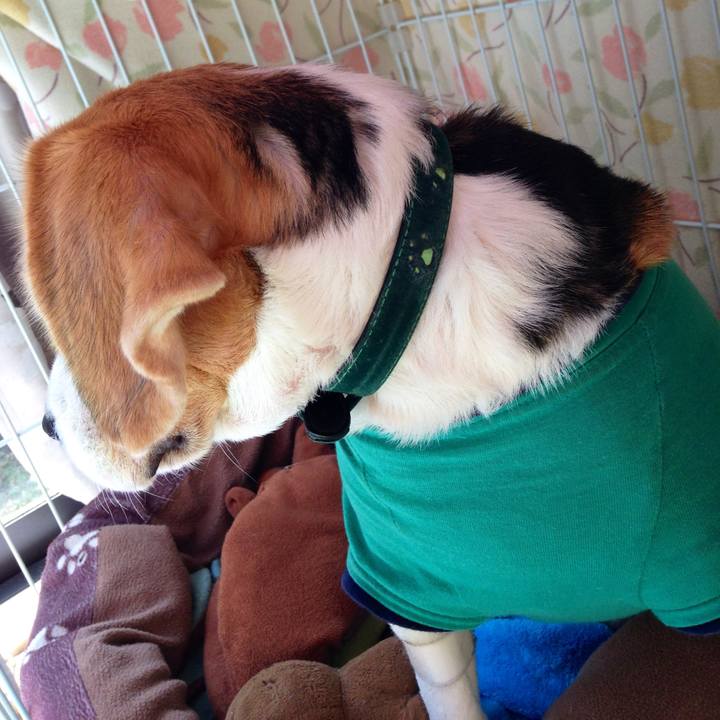 D489d227 8e68 4dfd 9c95 a225b688d66c 1742692280938