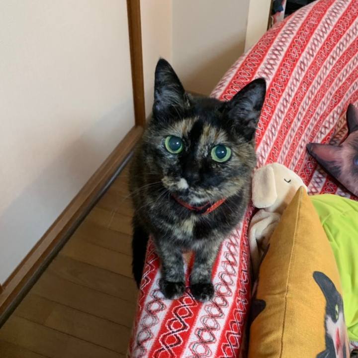 D489ec2a a412 4f09 aa39 28f5196a1869 1560685909568