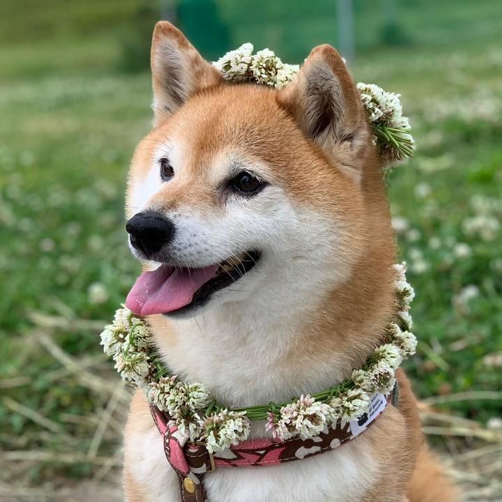 D48a10af 10e5 415f 883e 429051e53de6 1621128480245