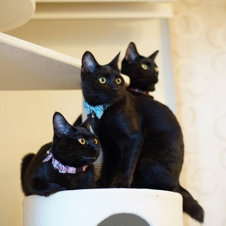 D48a2aff 9766 4e9c b877 2e8b58270cfc 1513913410598