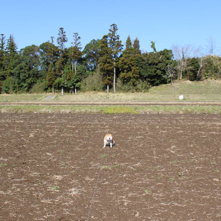 D48a4040 6396 44ea be89 23a957fe9e96 1616558696742