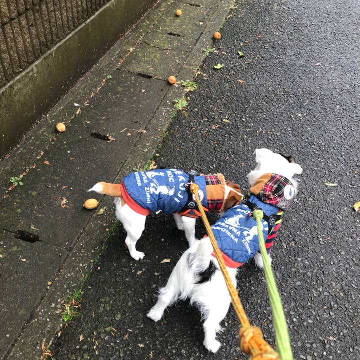 D48a74d8 f038 4c2e a4b4 0ac6ff19dcab 1521680719175