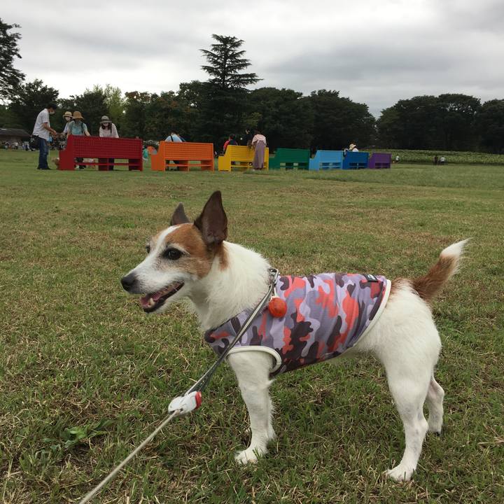 D48a7961 0940 45fc b6bb b171b248ad4a 1600212597761