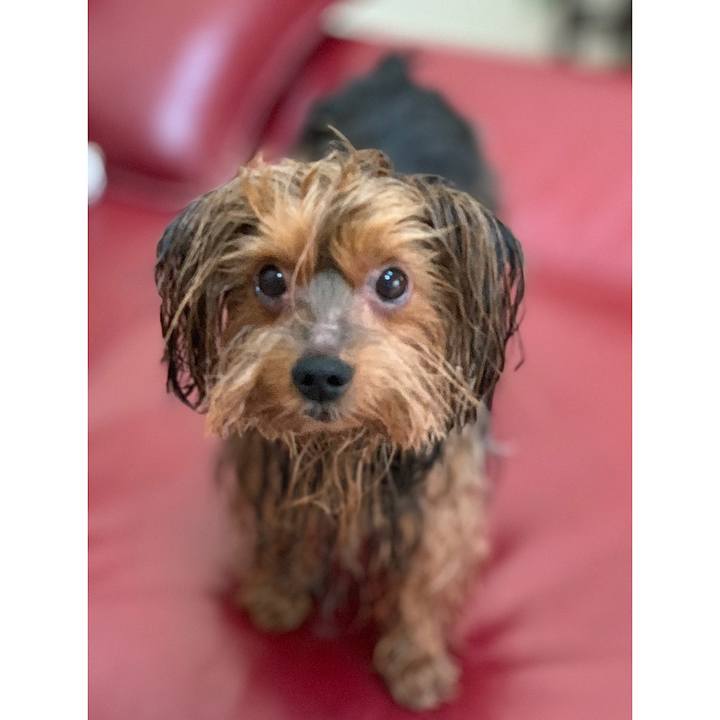 D48ab252 ec91 442b bee8 9227b70b514e 1545892105856