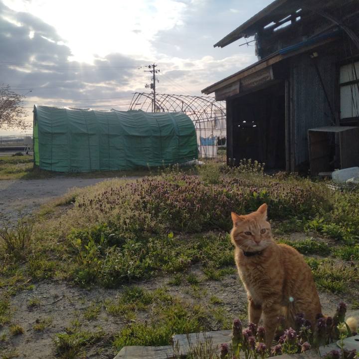 D48ac58e 91a9 44af 8605 a2dfd56e8ca9 1682288636191