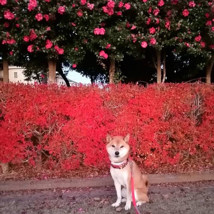 D48ae0eb 1ff0 4b36 869b 2b9ddd981ae6 1639038590941