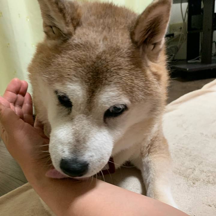 D48ae26b 4738 4fcc bc4c c3e8766efaeb 1599907647723