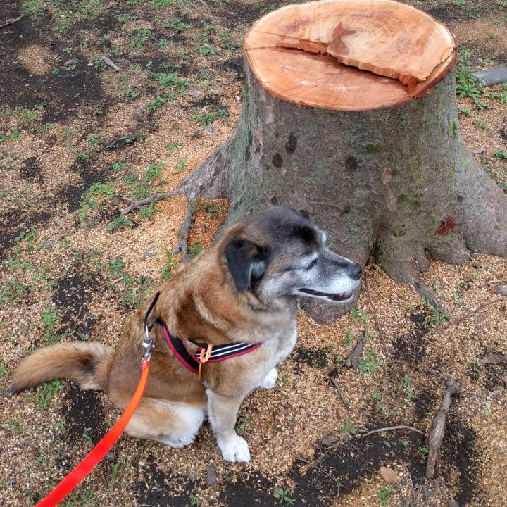 D48ae30e f24a 4a09 8323 7f6c87a78c91 1528594304298