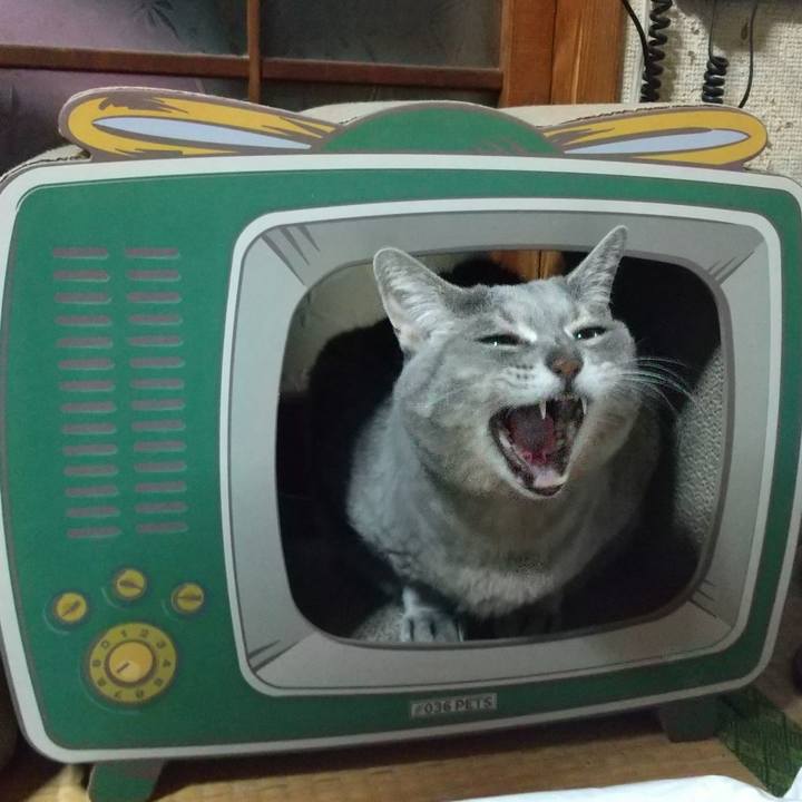 D48b1adc 10e7 48a2 ad95 41bdbd057dd3 1609431290775