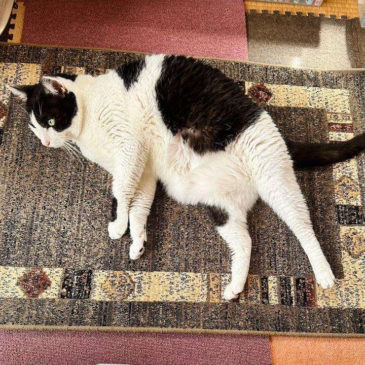 D48b3661 1d0f 4b46 9137 2301e086cede 1714438662629