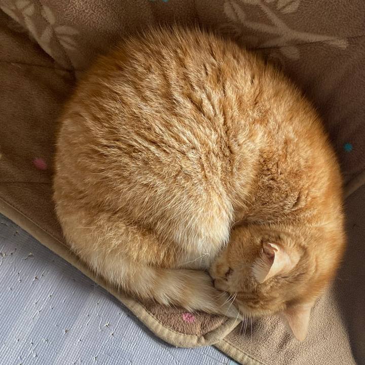 D48b3ff3 e009 445a a16c fd1d476f7ae1 1665277448133