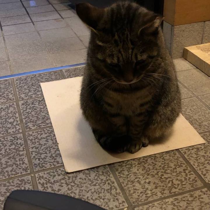 D48b4479 9f4a 471d a3b5 f952cf76725c 1634455412215