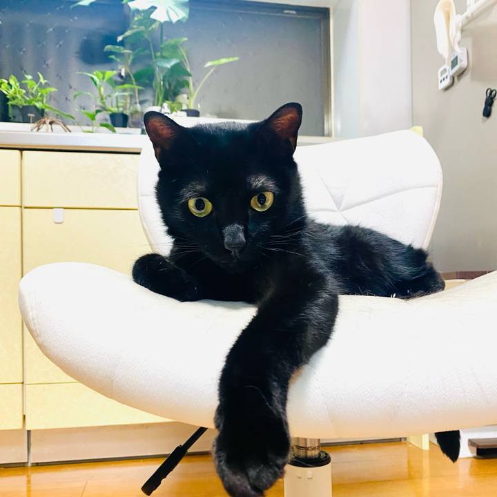 D48b6428 8f62 4f3e a48b f094f5ca9cef 1757593370359