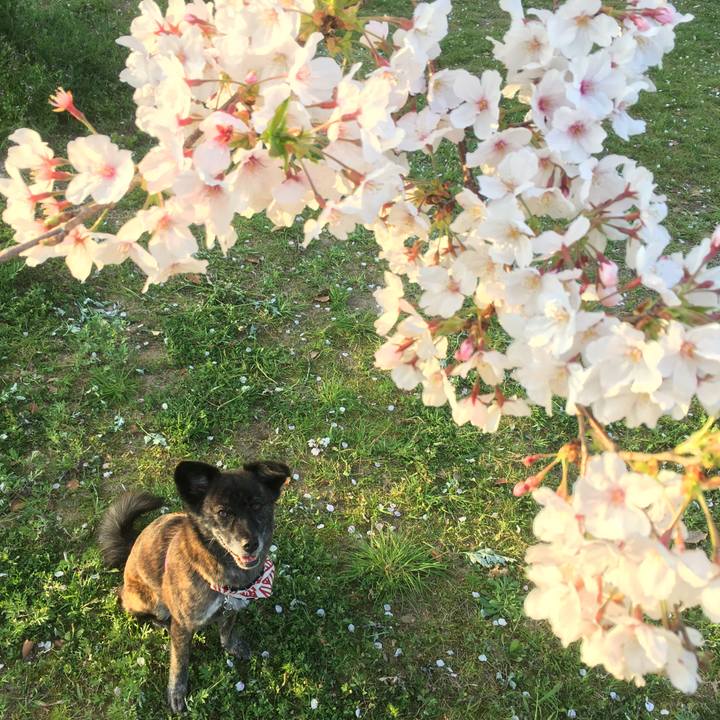 D48b733d 951f 40d8 b97a dbccd960143c 1554543243062