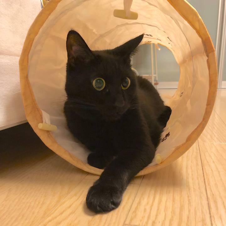 D48baaa4 5737 4398 ba3f 19bfb011b16c 1549195246217