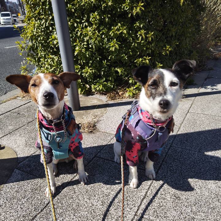 D48bbd76 b848 4e1b 8c09 3b3b88d97aa0 1740347337590