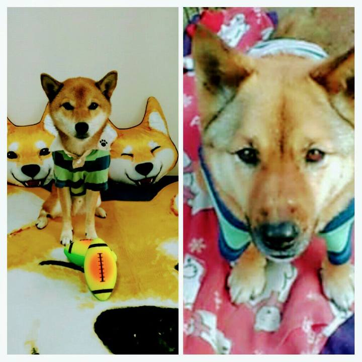 D48bd7bc 5515 48fc a1dd fda0dc10812e 1567734542275