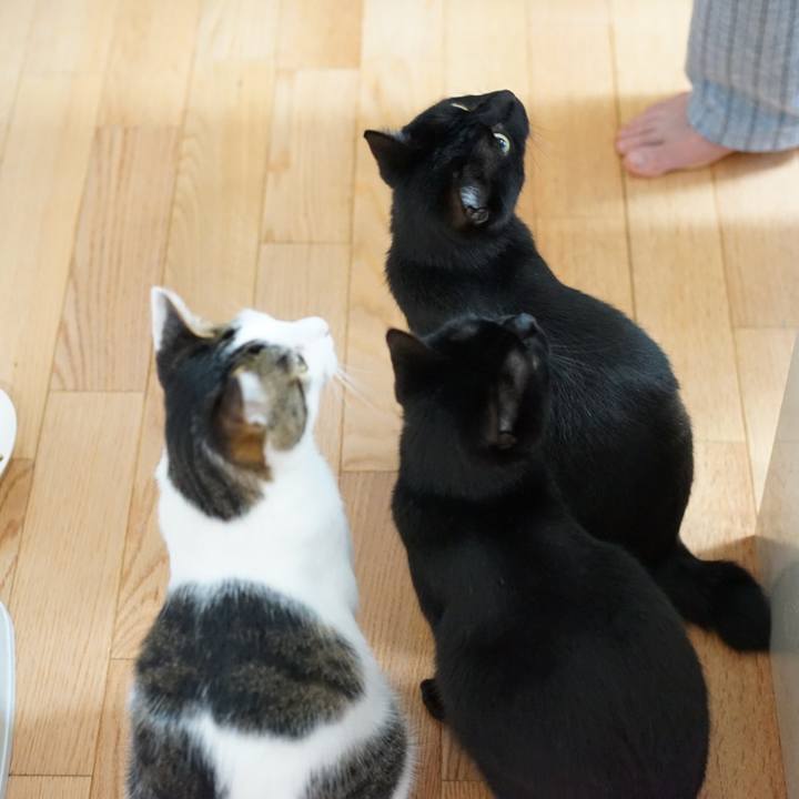 D48bde5c 8180 4bc9 800a 1c4037d6fa8a 1556062418975