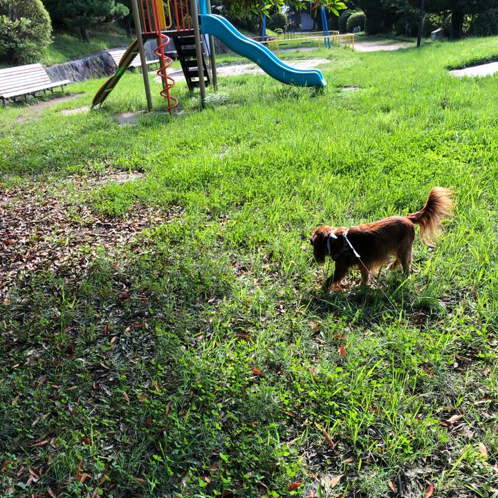 D48be72c a055 4f5d a1dd d9740c1b5189 1595282749370