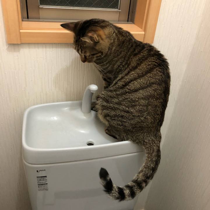 D48cc766 4e86 4b80 b83c 78e11effa229 1515154928962