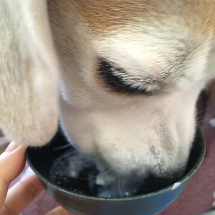 D48cd442 c721 4114 a39e 02895a036ccb 1729801343714