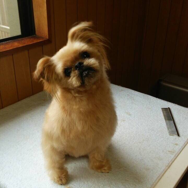 D48cff7f 3b41 471a a6e1 61e24d252876 1565585116905