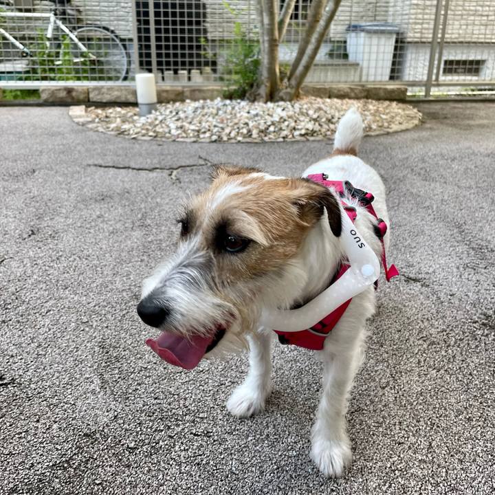 D48d095b f003 4640 a845 1505c90e3b3c 1656161074604