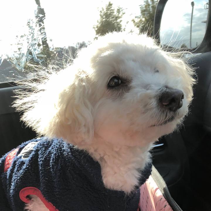 D48d2fdc 9a04 4322 9b72 249fbd8617a6 1548596762524