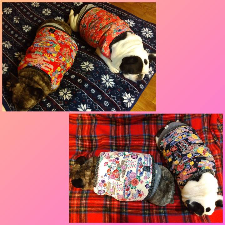 D48d34b1 b1c8 4535 bd05 01a8f1b23a26 1739227435706