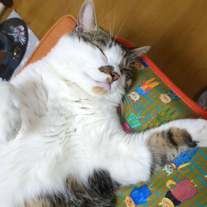 D48d54f6 38b7 4b9a a1f9 e09291b74777 1684842251304