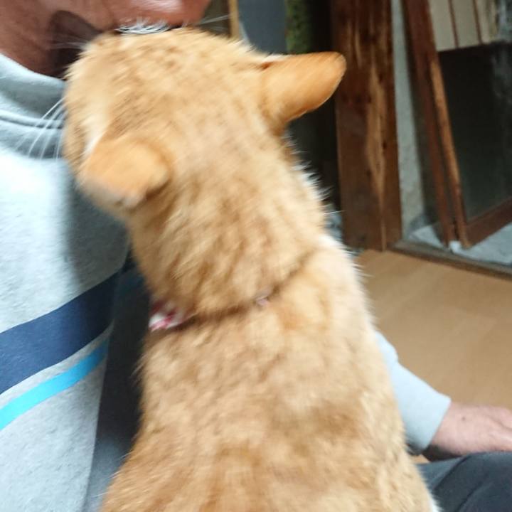 D48d5fc7 6561 4168 872c 799a1d32ef89 1602791574561