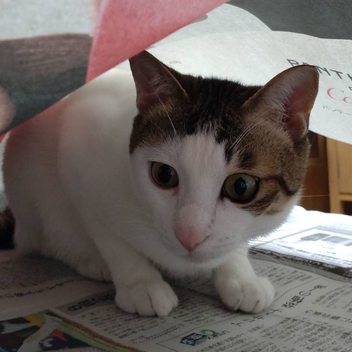 D48dd0fb a94d 42d9 943e fc4a2eaa7e14 1679308696669