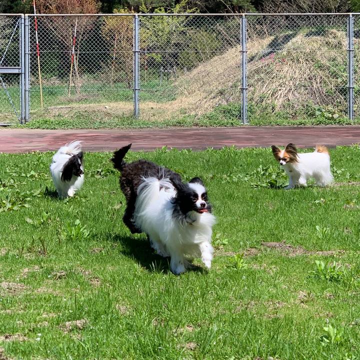 D48df61a a62d 4917 a91f e24c96aa8358 1556962899502