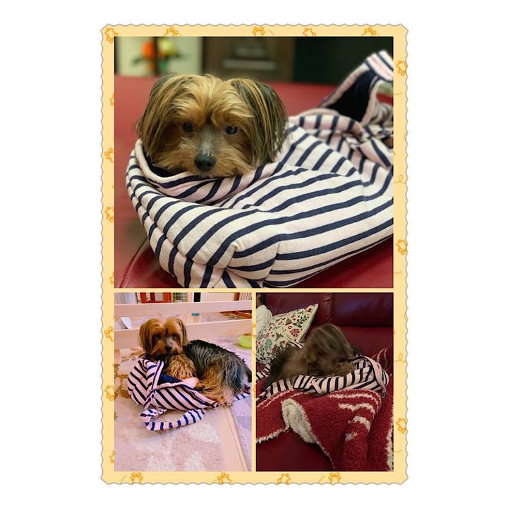 D48e081b 705a 44fa 80a7 62c37a75c577 1546946614707