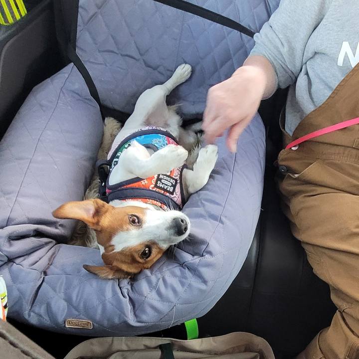 D48e196b 0a18 442c b998 1aa247f69430 1710655216115