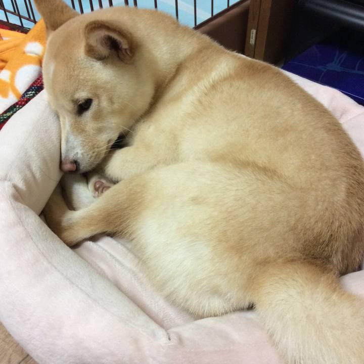 D48e1fbe 2847 4eb4 99d0 ddc05588ca90 1508153793559