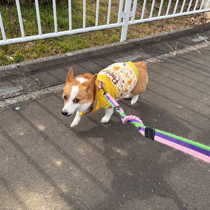 D48e2cb4 7a45 4167 95e4 21368d9d791f 1769671240981