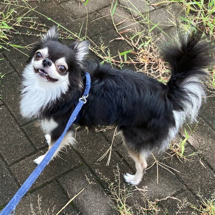 D48e3adc eb27 4408 b196 fbe3cce7b337 1662791896210